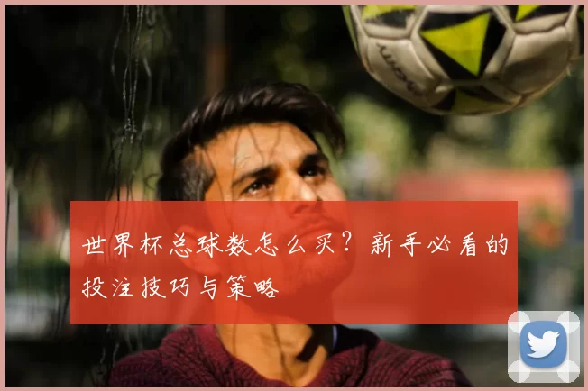 世界杯总球数怎么买？新手必看的投注技巧与策略