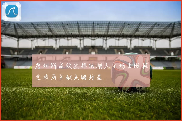 詹姆斯高效发挥助湖人主场击败掘金浓眉贡献关键封盖