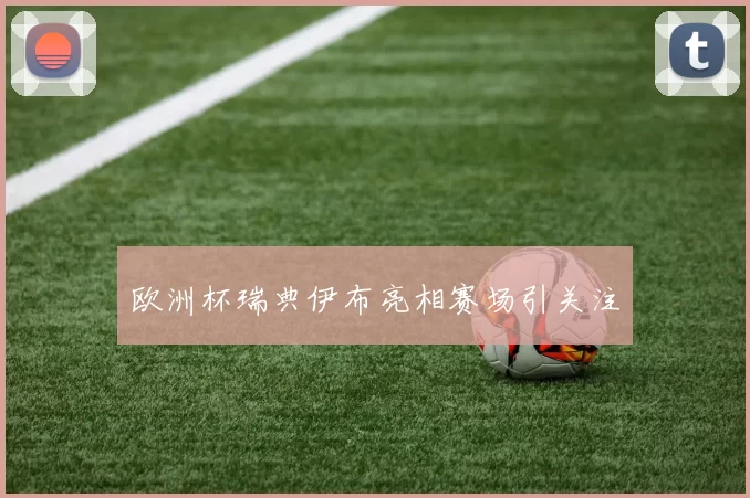欧洲杯瑞典伊布亮相赛场引关注