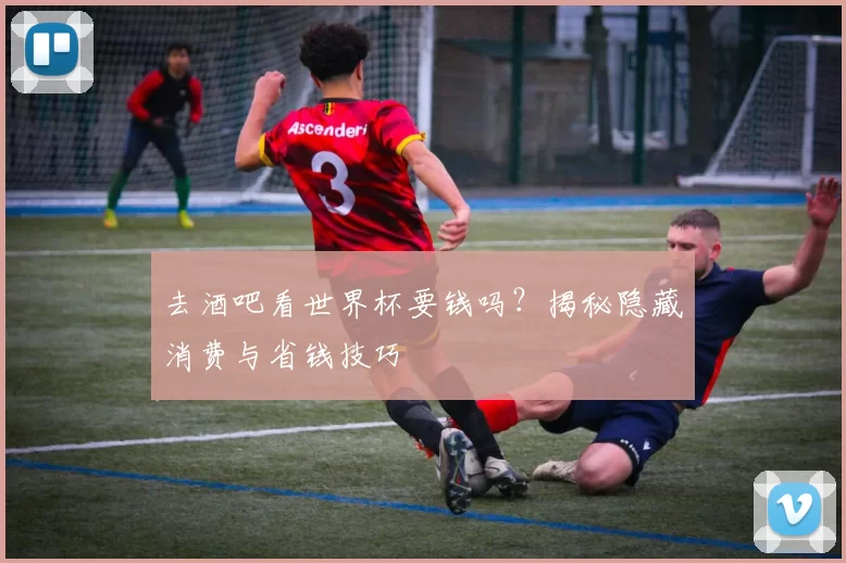去酒吧看世界杯要钱吗？揭秘隐藏消费与省钱技巧