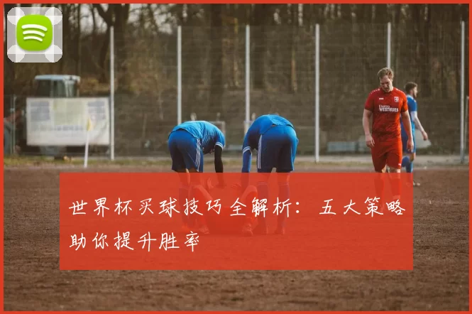 世界杯买球技巧全解析:五大策略助你提升胜率
