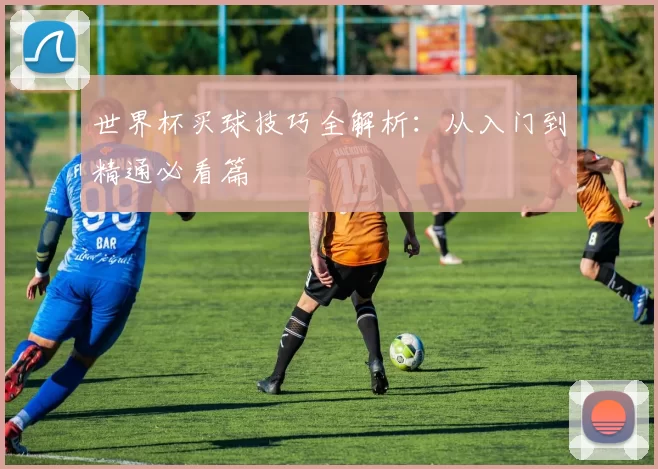 世界杯买球技巧全解析：从入门到精通必看篇