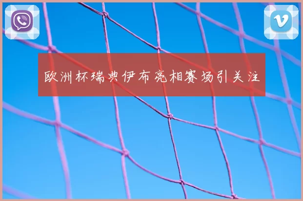 欧洲杯瑞典伊布亮相赛场引关注